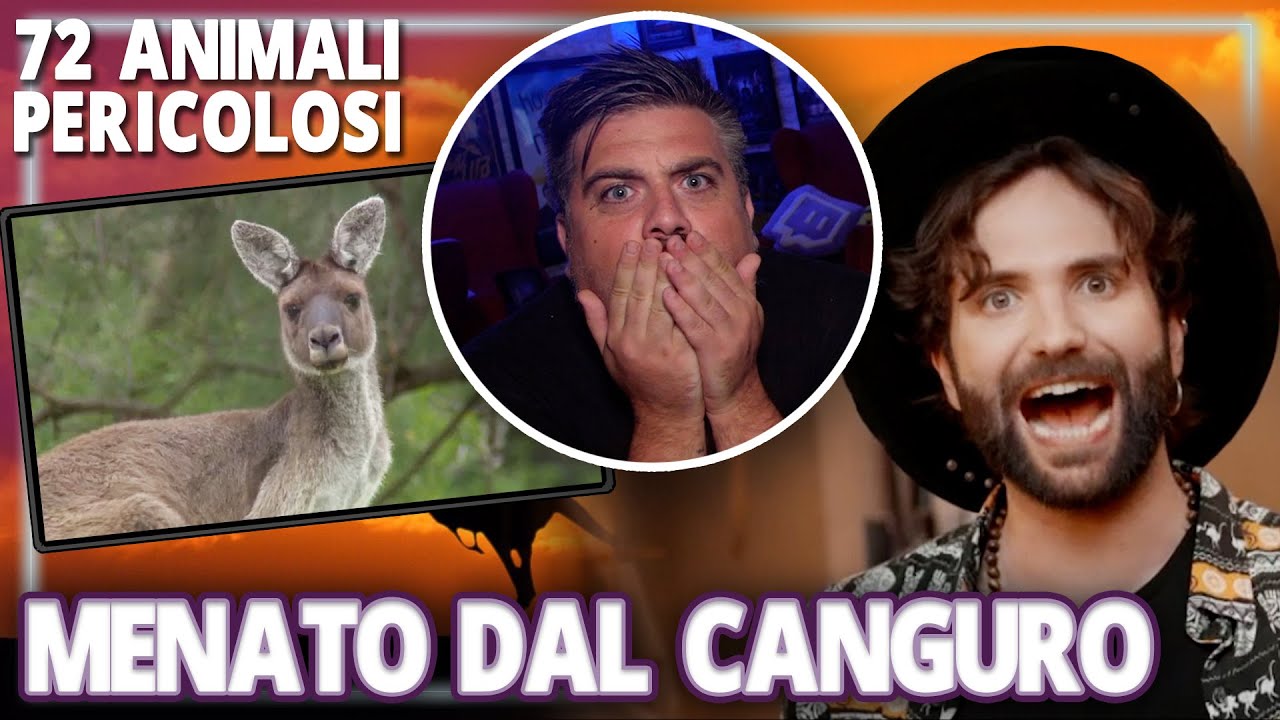 ASSURDO, MENATO DA UN CANGURO ! 😱 | 72 ANIMALI PERICOLOSI con BARBASCURA X