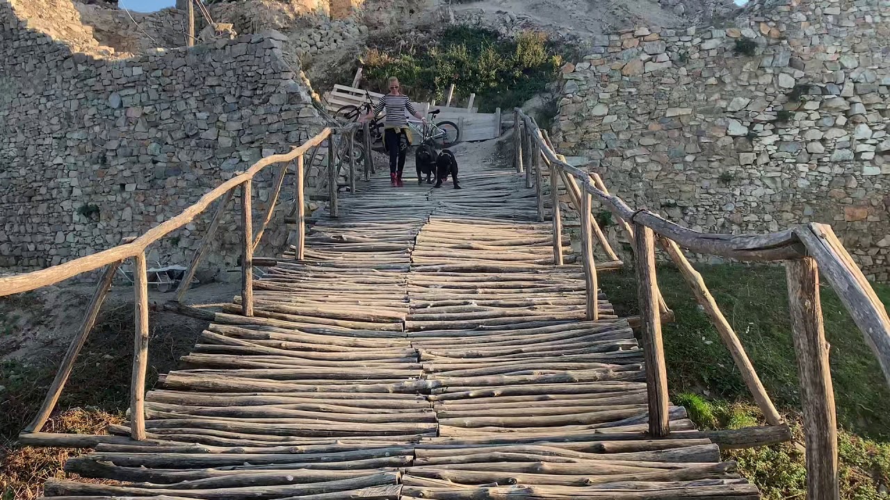 cane corsos in the castle