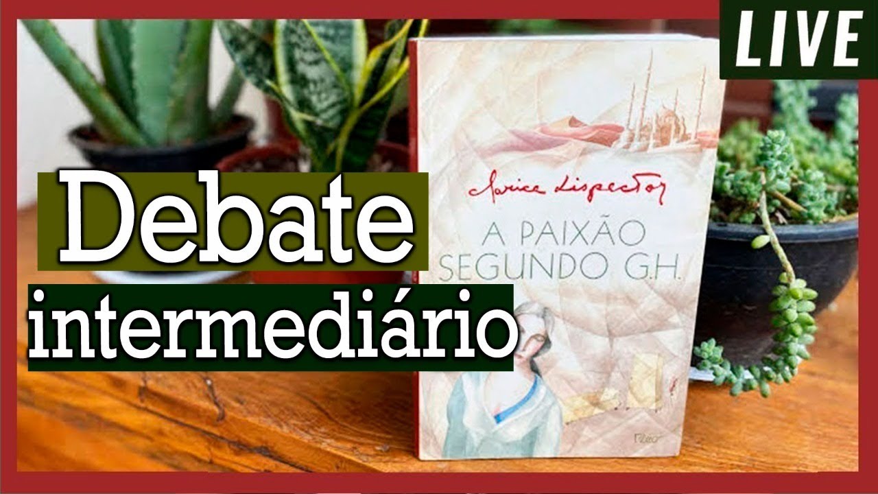 Debate intermediário (até Cap. 16) - A paixão segundo G.H.