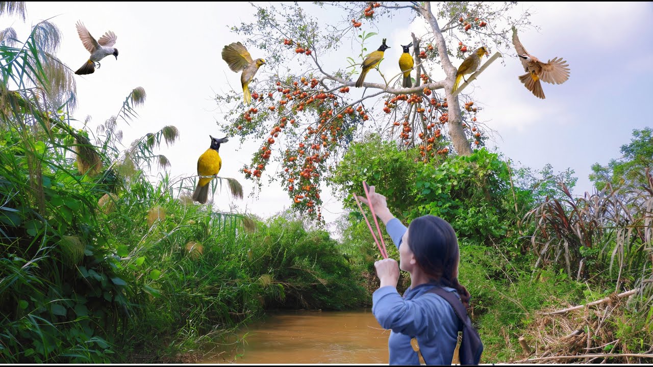 Slingshot for bird hunting - Encounter with mutant birds