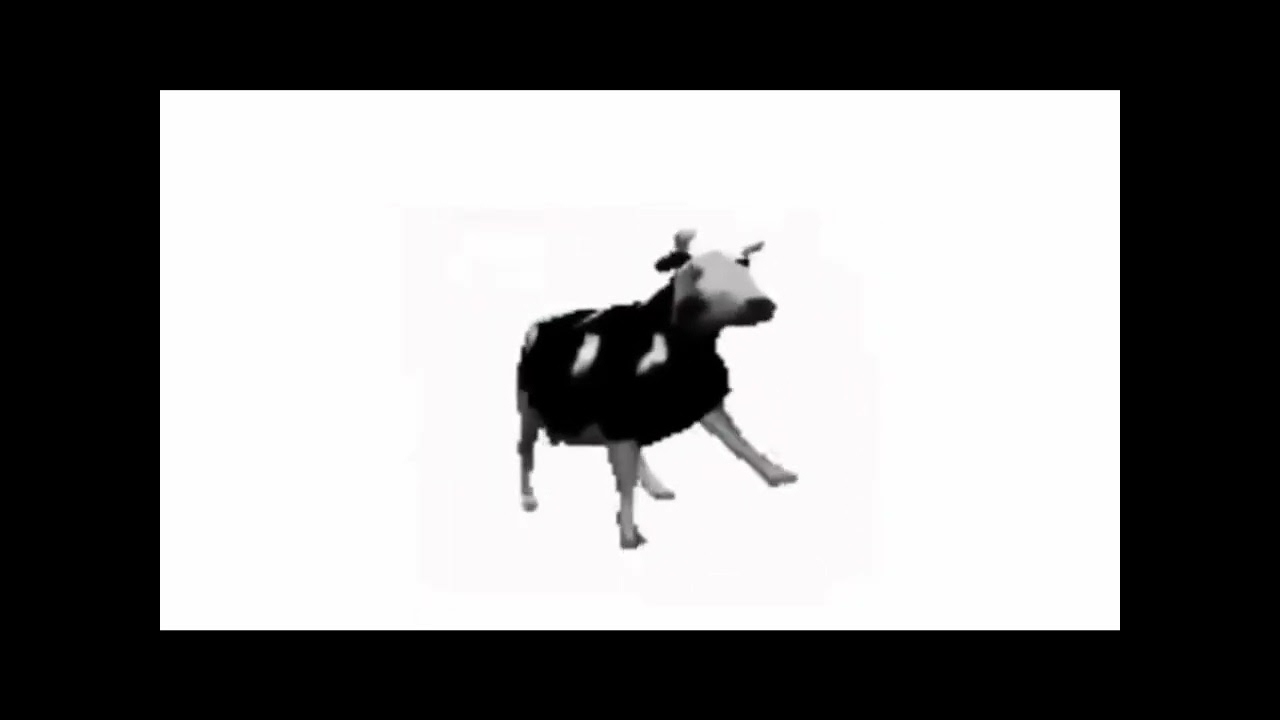 Polish cow 