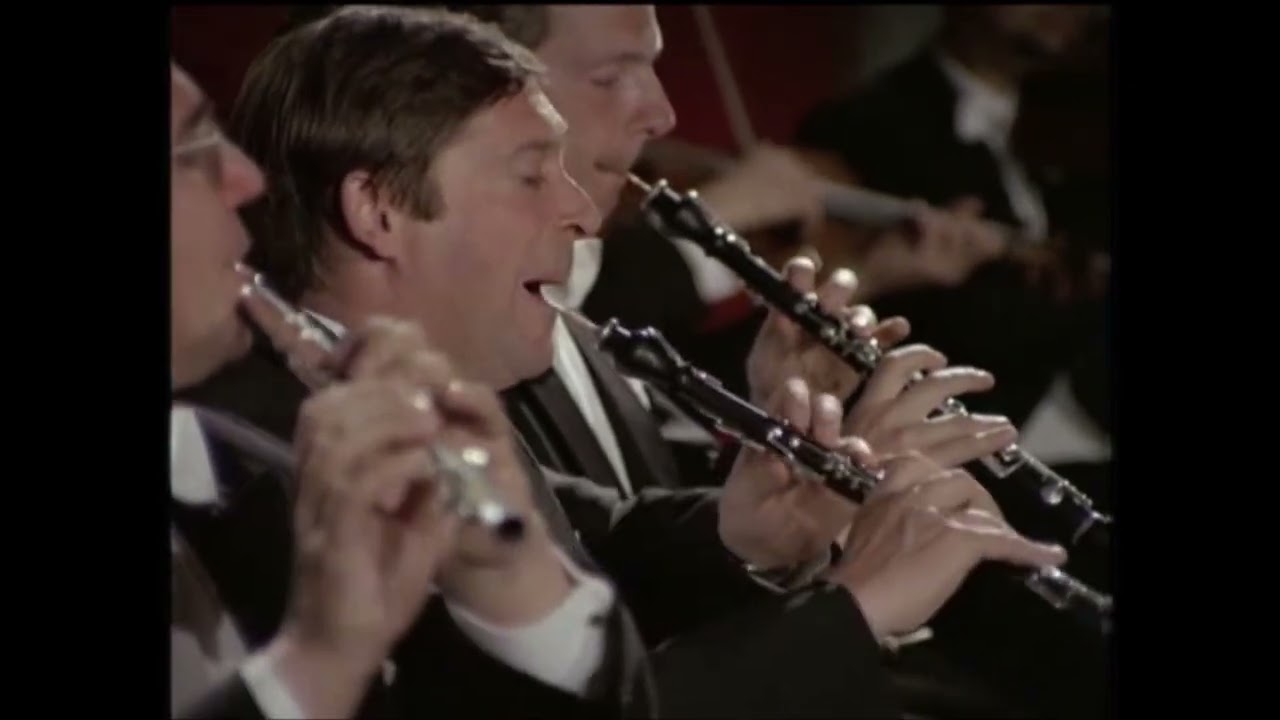 Brahms - Symphony No. 1 (Mvmnt. 4 Excerpt) | Leonard Bernstein - Vienna Philharmonic