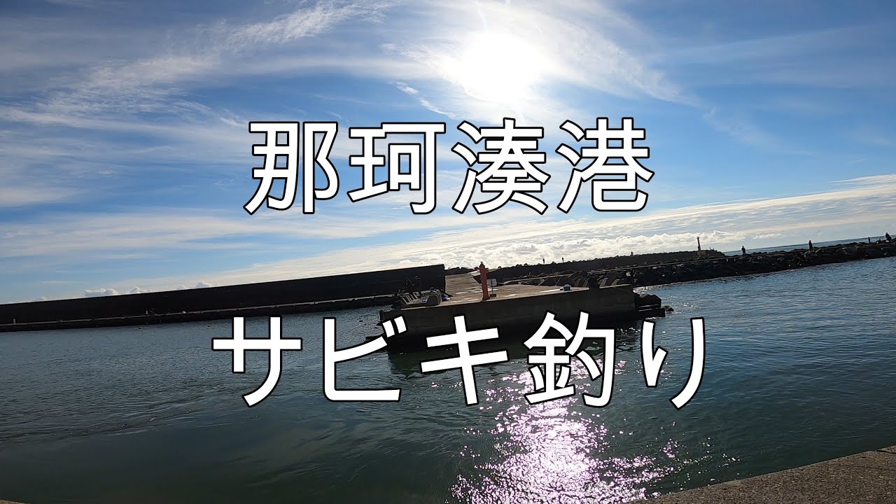 【那珂湊港】サビキ釣り調査！すっかり冷え込んだ雨上がりの茨城では何が釣れるのか！サッパイワシ祭り！【海釣り】