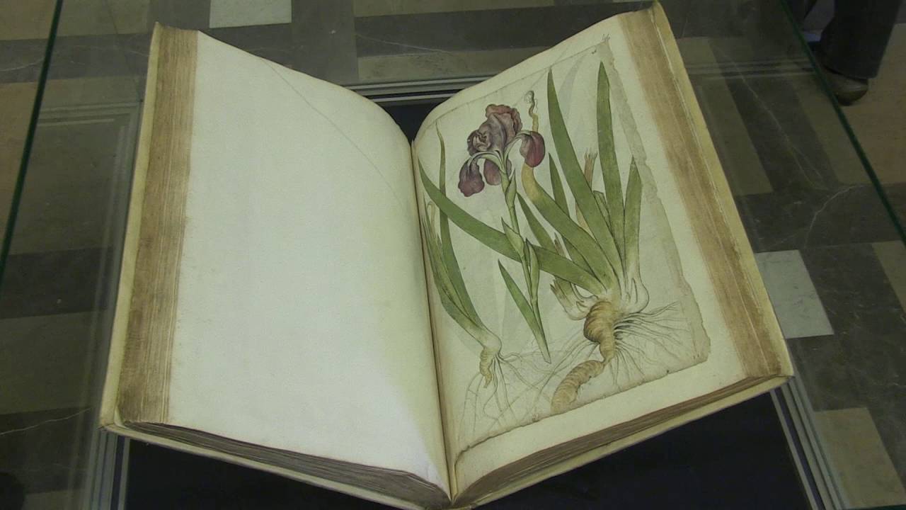 Zobacz najpilniej strzeżony skarb Biblioteki Jagiellońskiej! Libri picturati | Copernicus Festival