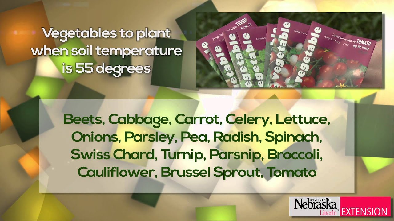Soil Temperatures for Planting
