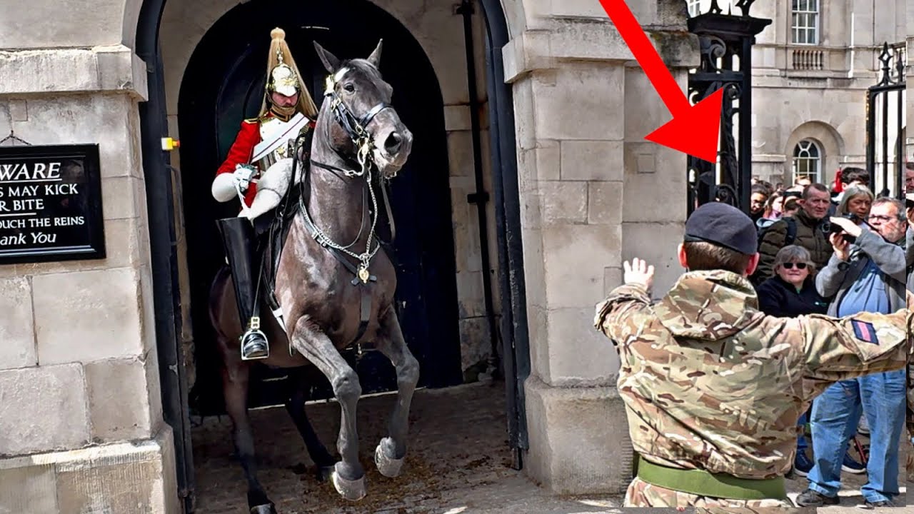 HORSE SAFETLY! King's Horse SWIFTLY Taken Inside As Chanting People Return in Large Groups