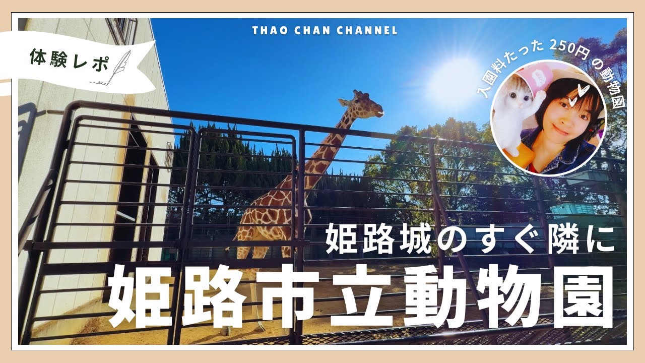 正直ナメてた…250円でここまで楽しめる姫路の動物園