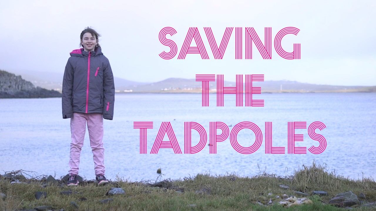 Saving the Tadpoles