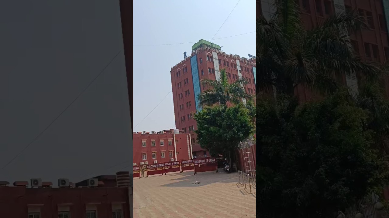 Odisha High Court Election &hearts;️ #highcourt #cuttack #election #lawyer #electionday