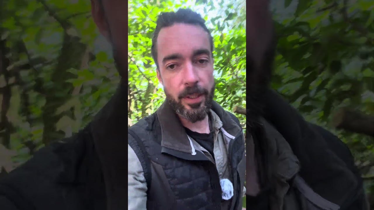 This plant is killing Irish Woodlands! #irishnature #naturerestoration #invasiveplants