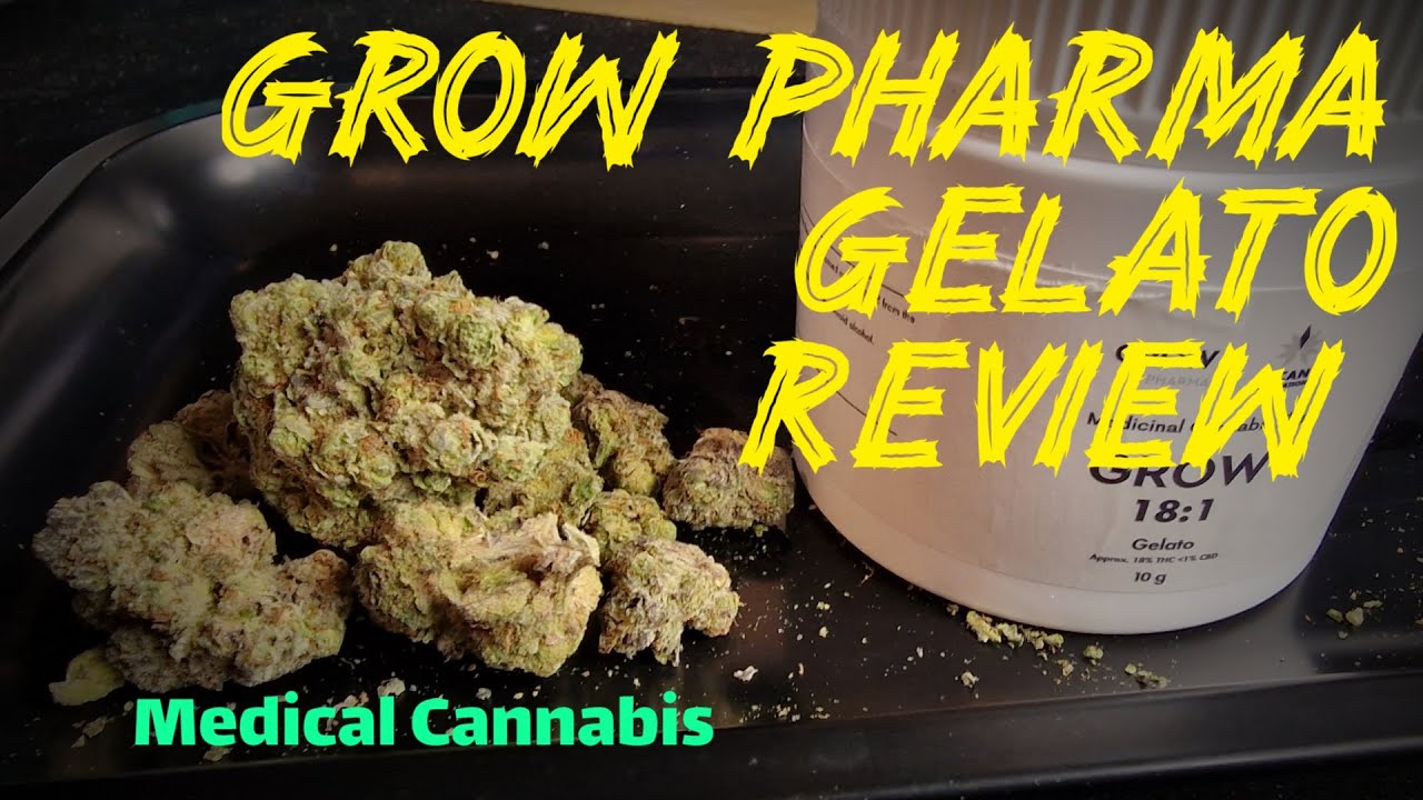 Grow Pharma Gelato quick Review 2022 | UK Medical Cannabis