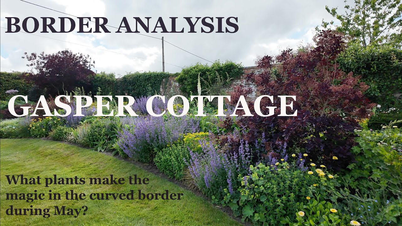 What plants make this border so magical?