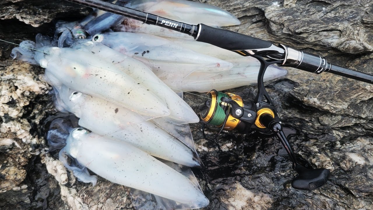 1h15 Pour Pêcher des Calamars du bord en mer