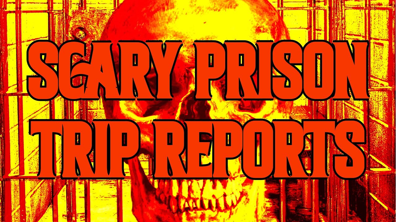 Creepy Trip Reports From Jail