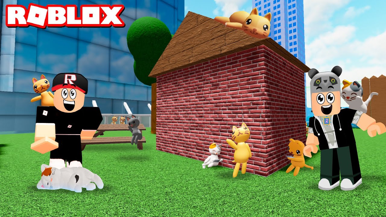 Saklanan Kedileri Bulabilir misin? Kedileri Bul - Panda ile Roblox Find the Cats