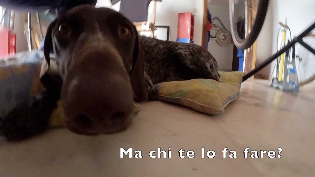 Particolari in titanio da Aliexpress per la mia Triban 900