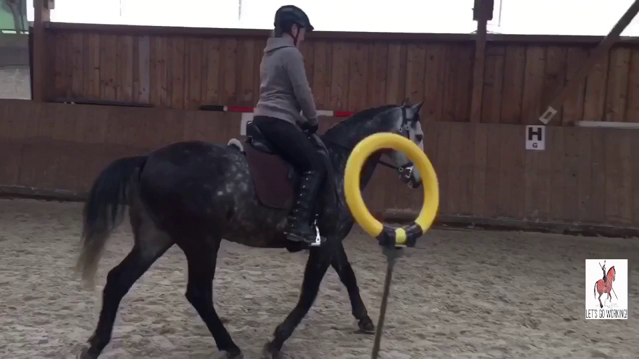 Der Slalom -  Working Equitation Staraktion Pferd International München 2017
