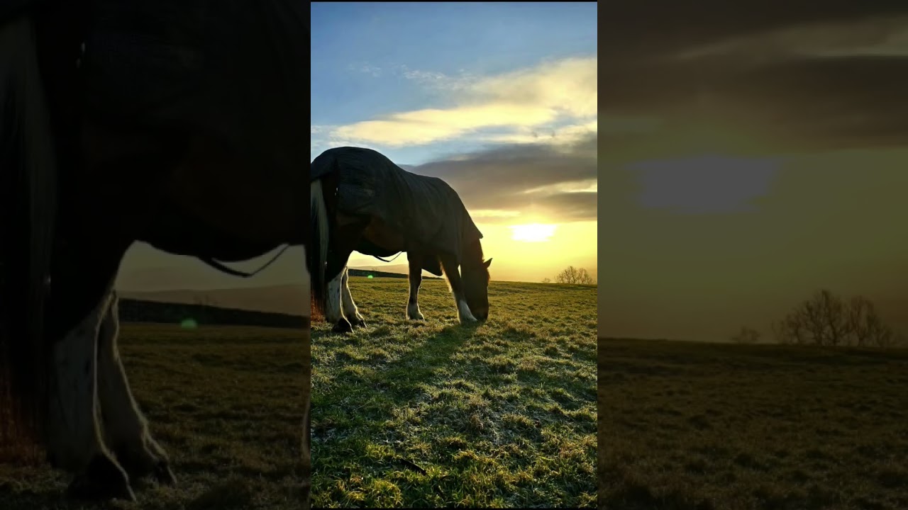 Magical January Sunsets 