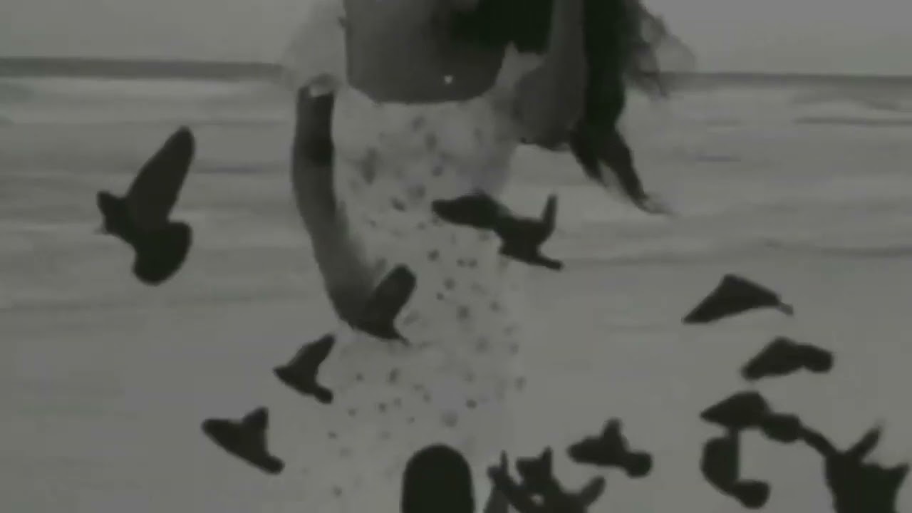 so sexy love baby by Fred Trach music