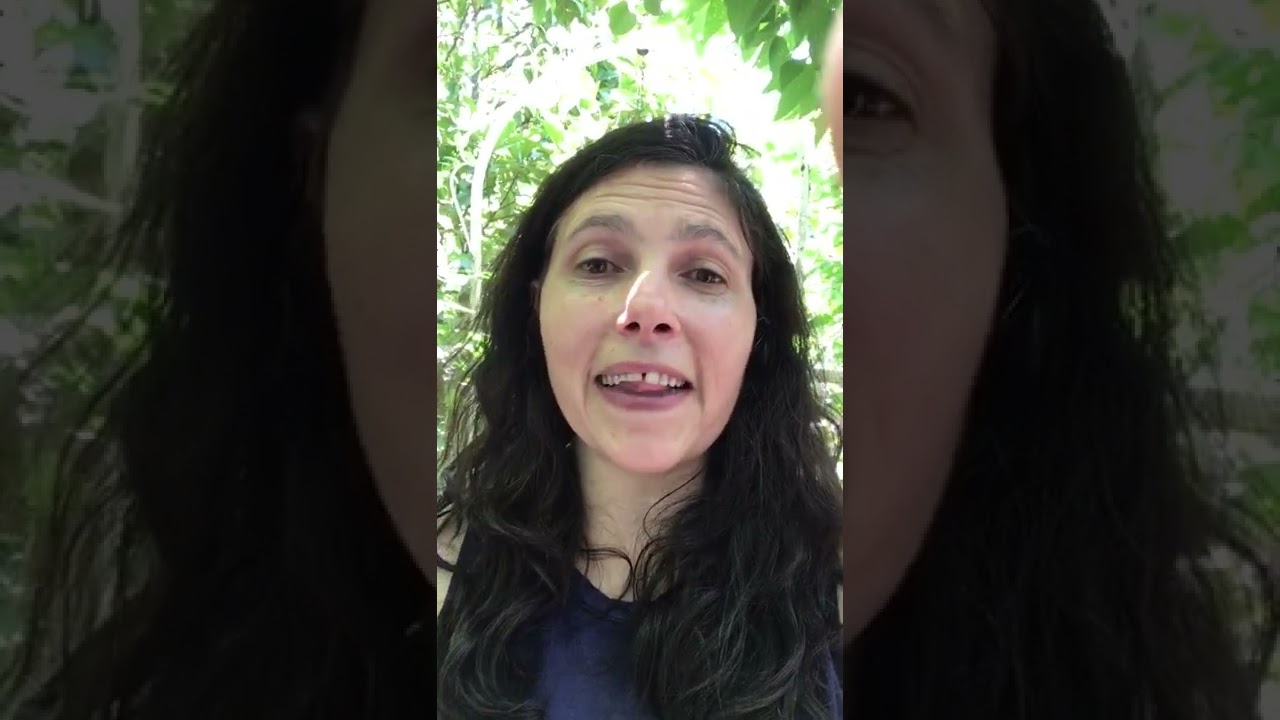 Summer Qigong for The Awakening Heart- What to Expect in our Six Week Journey