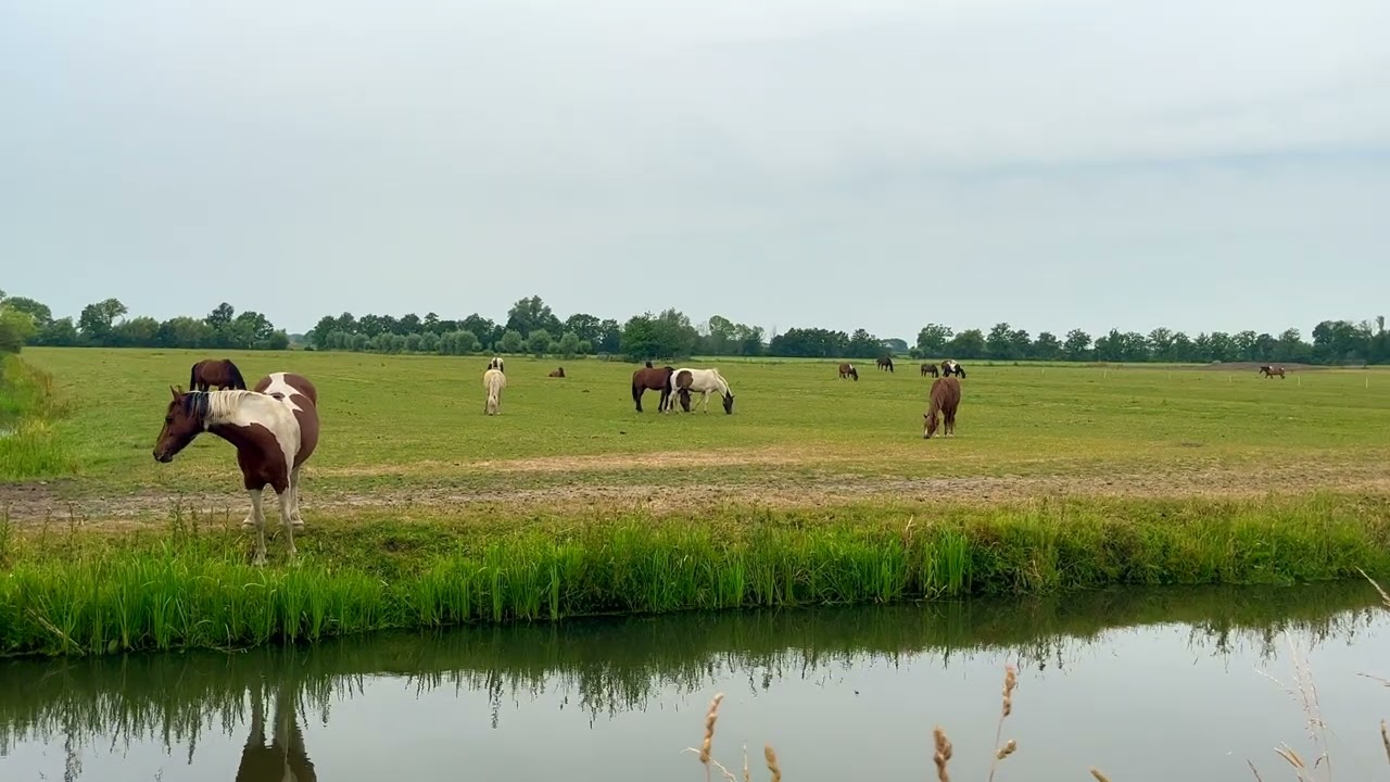 Driebergen-Rijsenburg