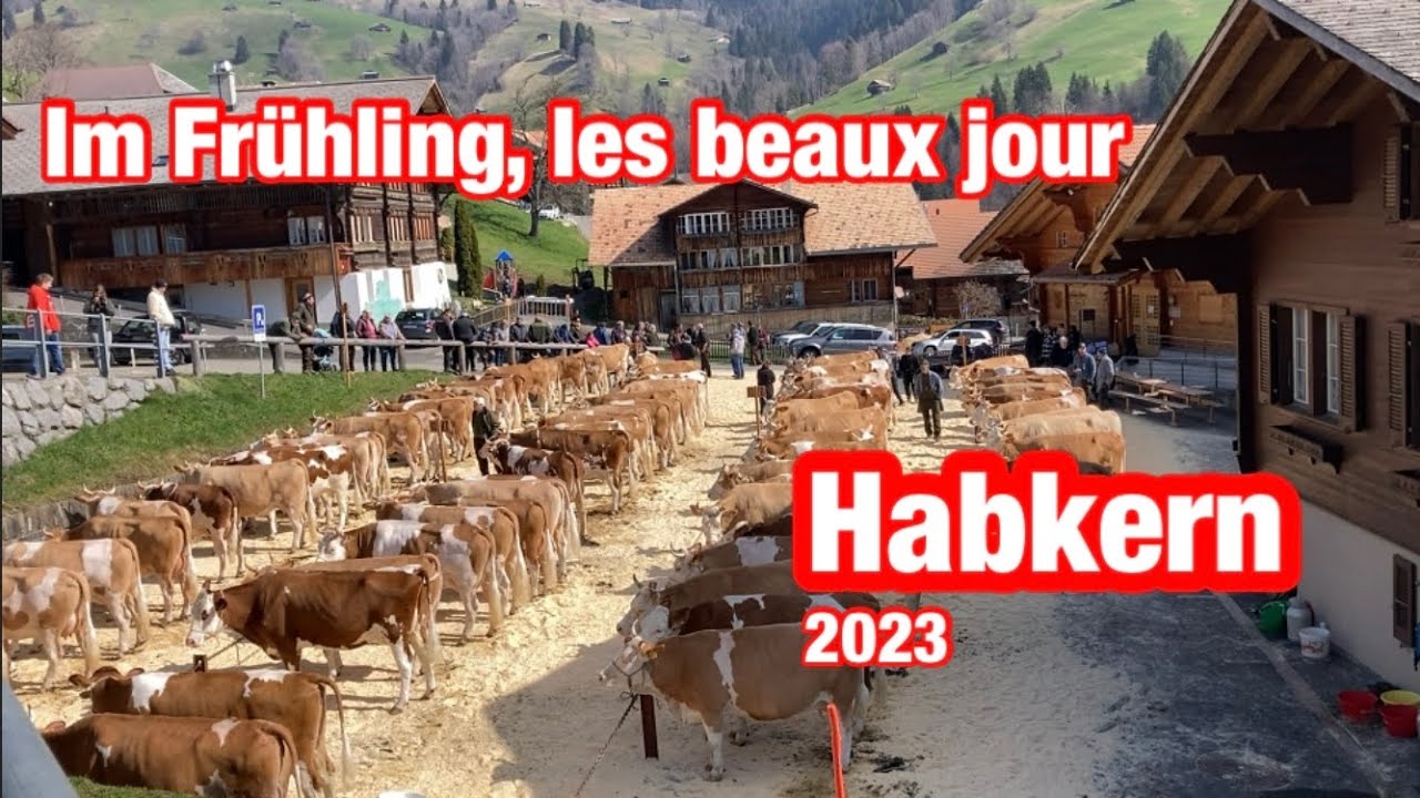 Im Frühling, les beaux jours - Habkern 2023