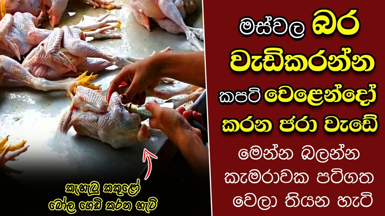 ඔබ මේවා දකින්නේ ජිවිතේ පළමු වතාවට EP:251