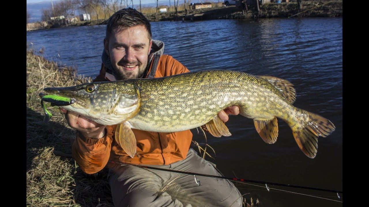 Crazy Fish Tough: уловистая приманка на щуку. Оснащение больших силиконовых приманок