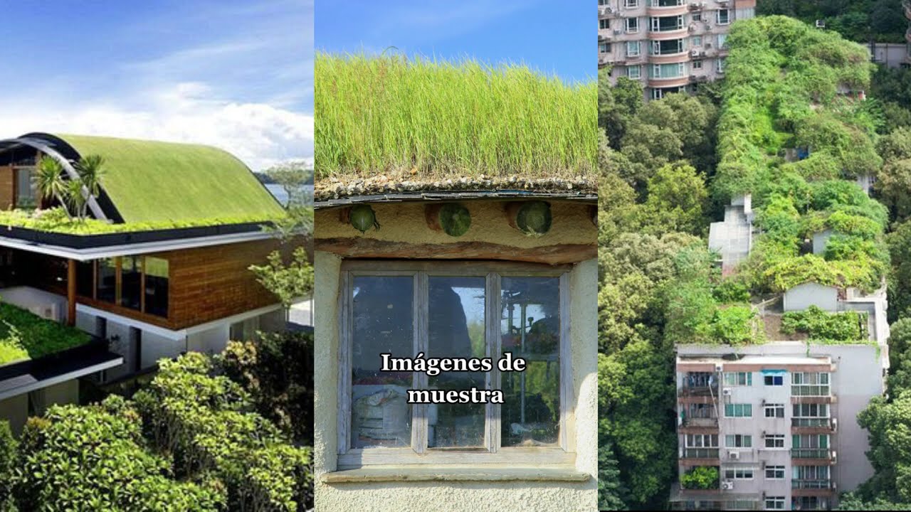 Cubiertas verdes: conoce todos sus tipos.