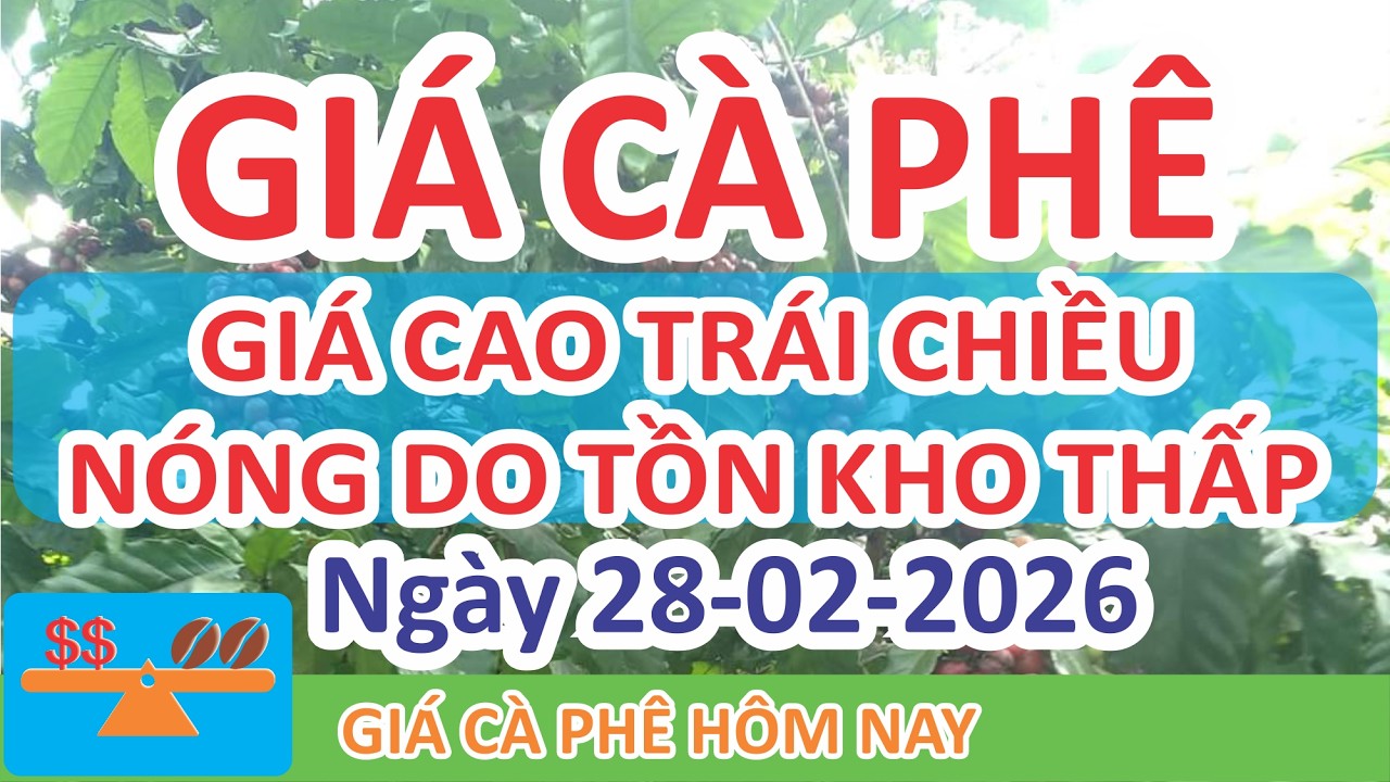 Giá cà phê hôm nay ngày 28/02/2026 | Giá Cà Phê Tăng Giảm Trái Chiều