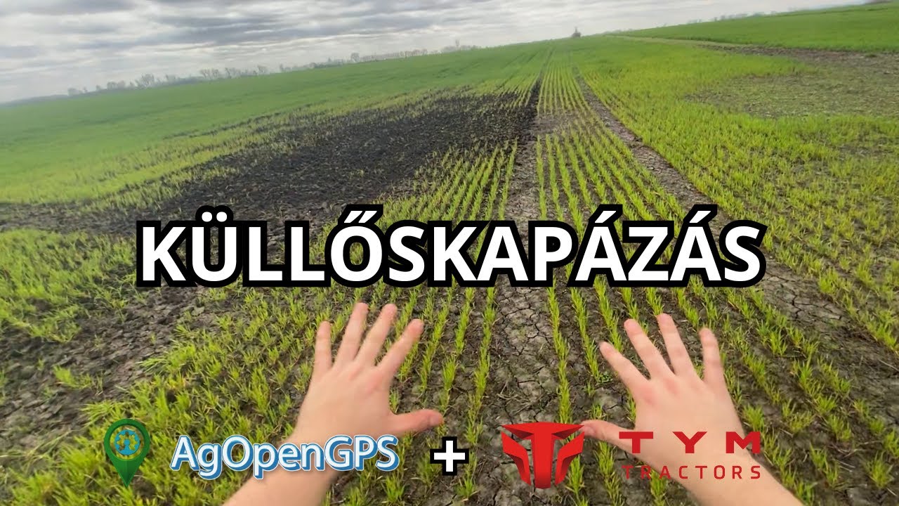 BIO Búza küllőskapázása