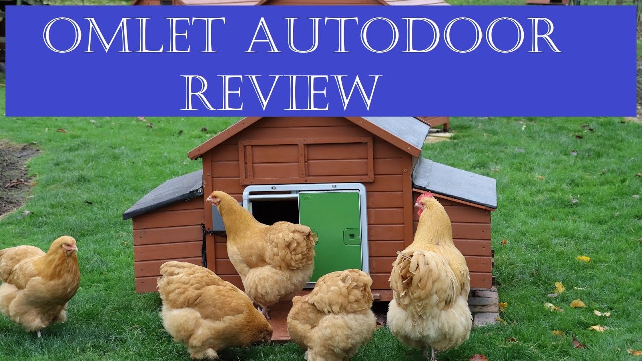The Omlet Autodoor Review (Automatic Chicken Coop Door)
