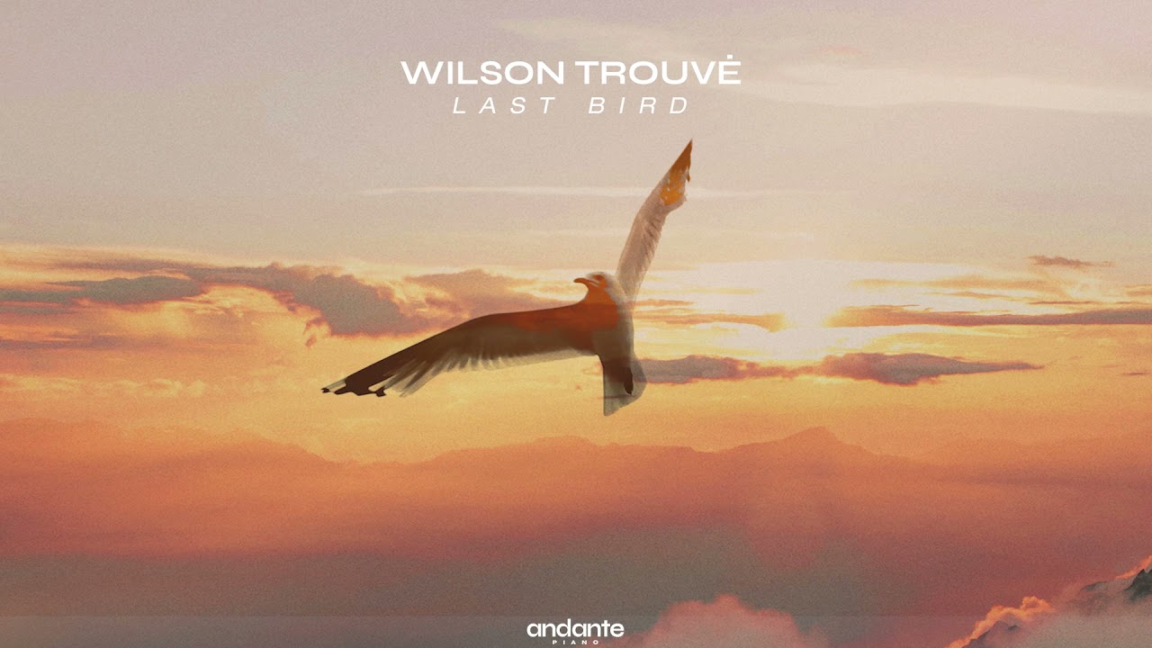 Wilson Trouv&eacute; - Last Bird [Neoclassical Piano / Solo Piano Music]