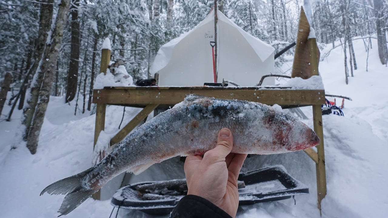 Remote Hot Tent- Smoking Whitefish Over a Fire (ASMR)