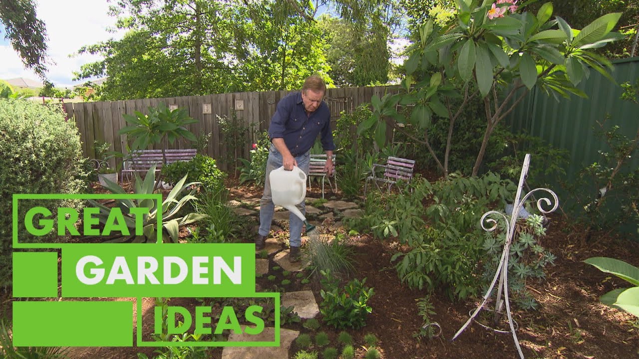 How to Create a Steppable Plant Pathway for Your Garden | GARDEN | Great Home Ideas