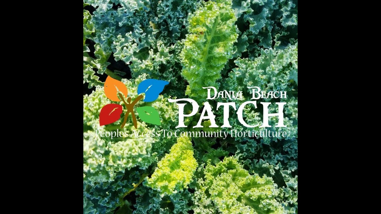 Dania Beach The PATCH community garden restored