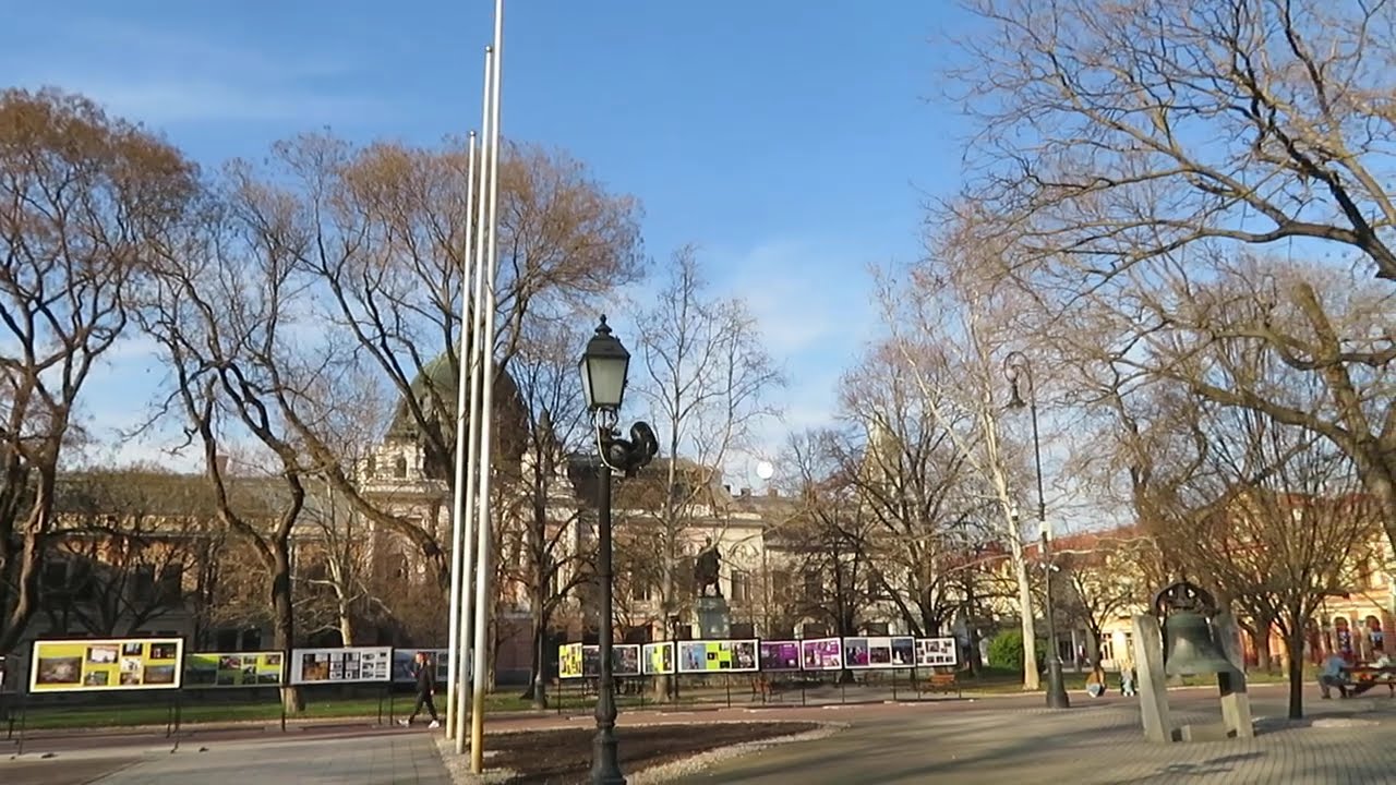 NŐNAPI SÉTÁMON...  🌞💐 2026.03.08. /1752.