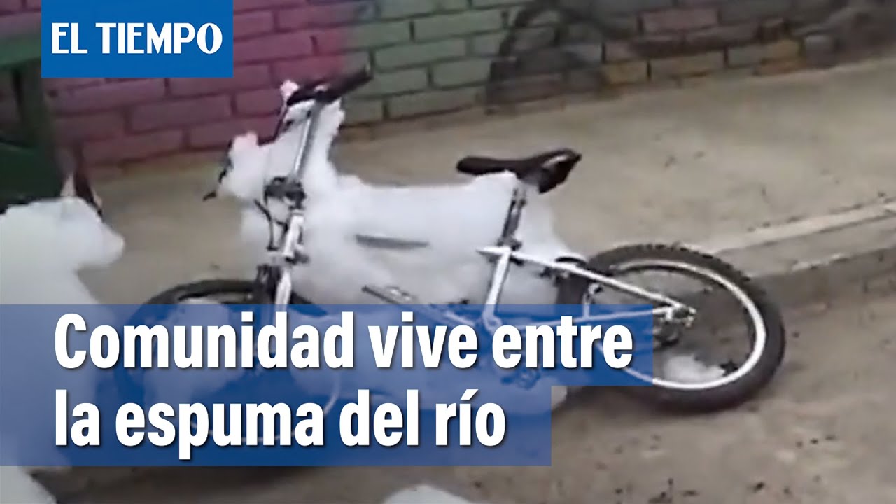Comunidad vive entre la espuma del r&iacute;o Bogot&aacute; |&nbsp;El Tiempo