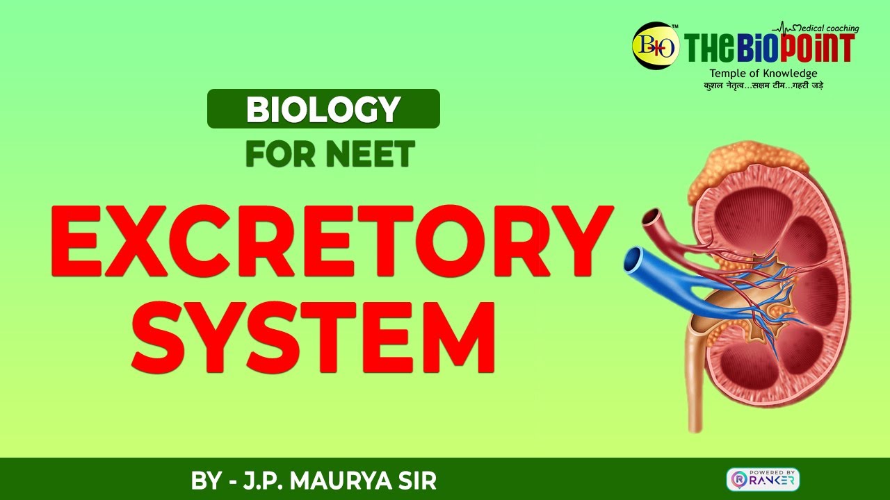 Excretory Product And Their Elimination Lecture - 1 || J.P. Maurya Sir || The Bio Point
