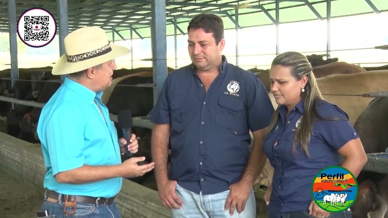 N.º  295, programa Cria de Bufalos en Maracaibo