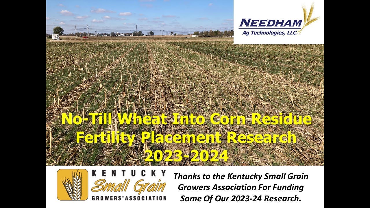 Needham Ag - No-Till Wheat Into Corn Residue & The Importance of Placing P In The Row With The Seed