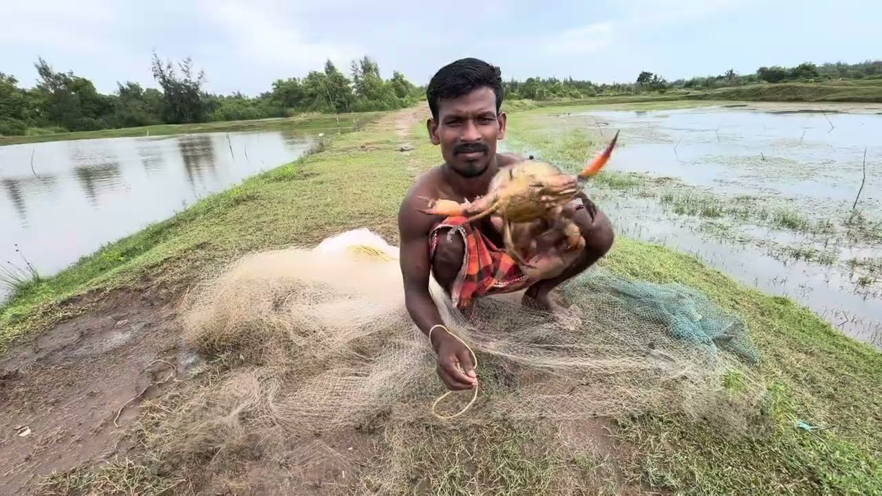 Best Net Fishing | Traditional Cast Net Fishing with Beautiful Natural | Net fishing in village 