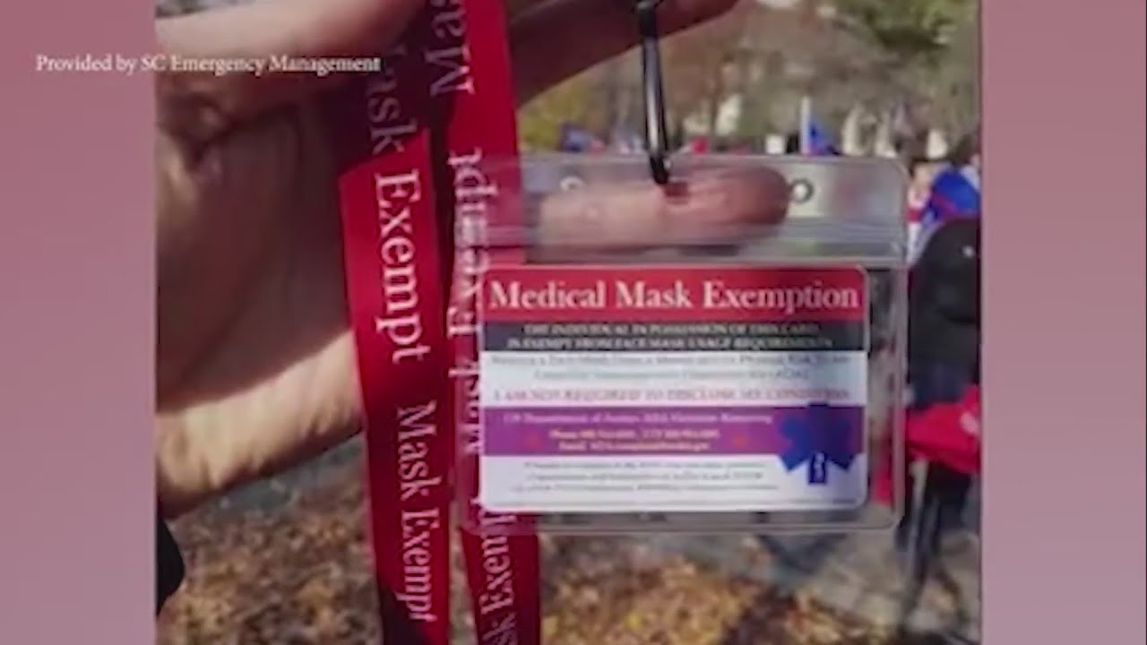 Fake face mask exemption identifications
