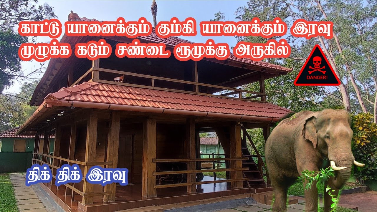 Thrill Night Stay in Muthanga Forest | Cerambi | Fight with Elephants near Stay | Jolly Trip