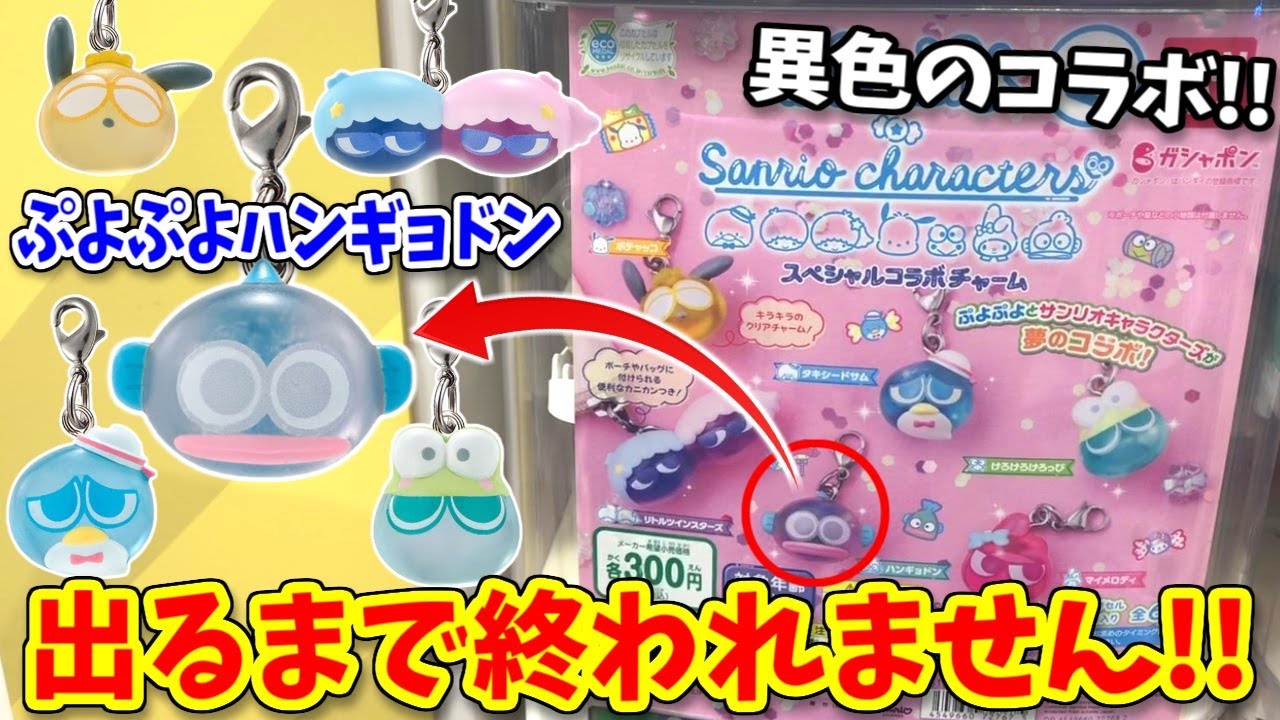 【サンリオ】ぷよぷよコラボ！特別verの推しを当てろ！【ガチャガチャ、ハンギョドン】