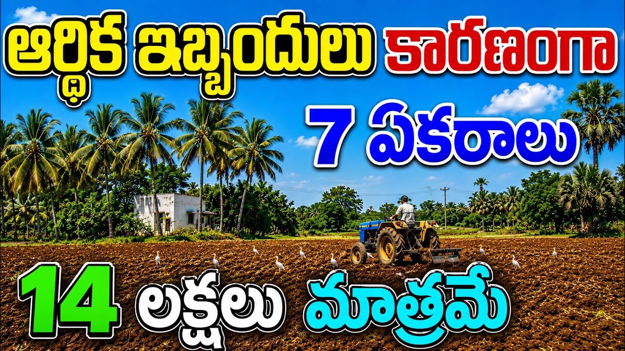 7 Acres Farm Land for Sale near Macherla | Palnadu District | Durgi Mandalam | Clear Title Land