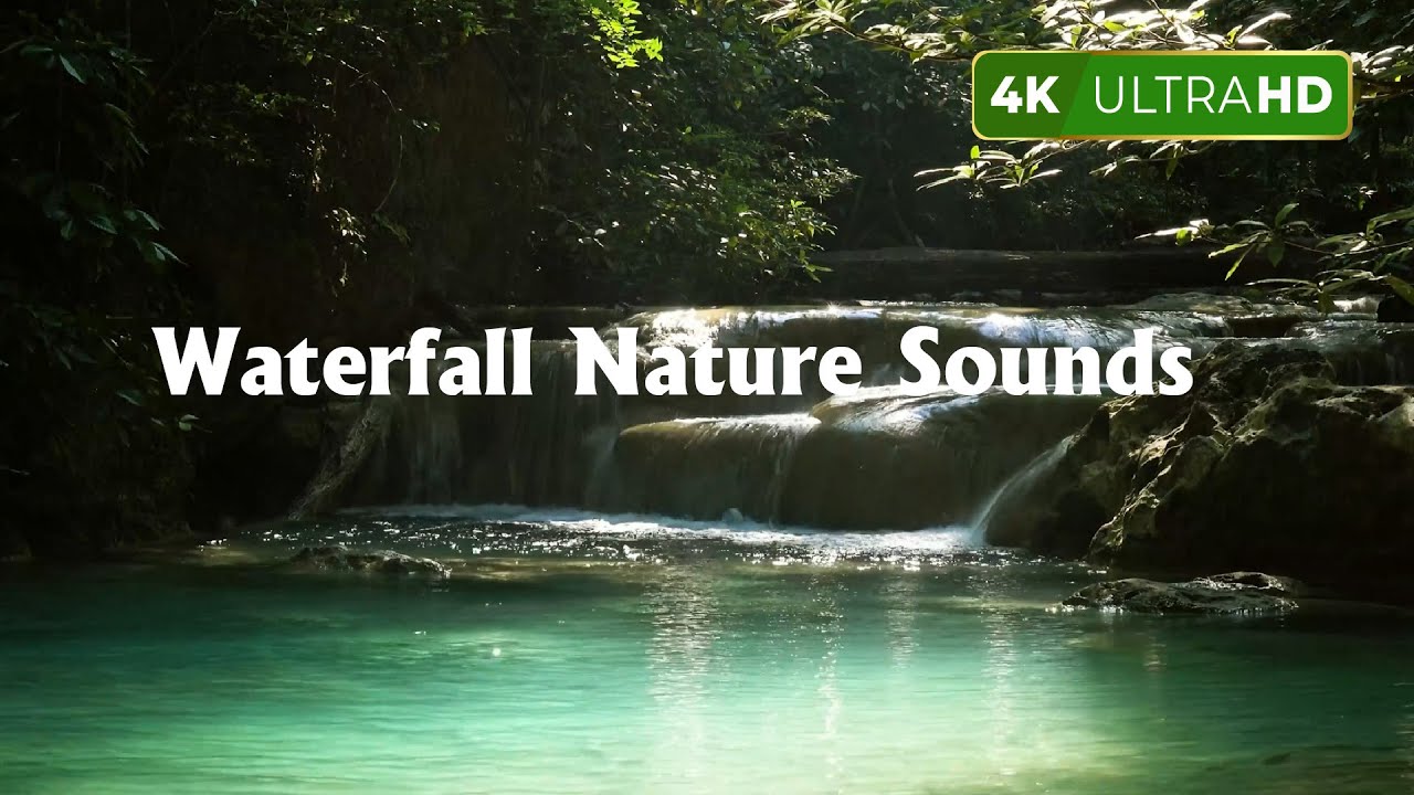 Natural music of Birds Chirping | Sleeping Bird Sound Meditation | Relaxing Waterfall Nature Sounds