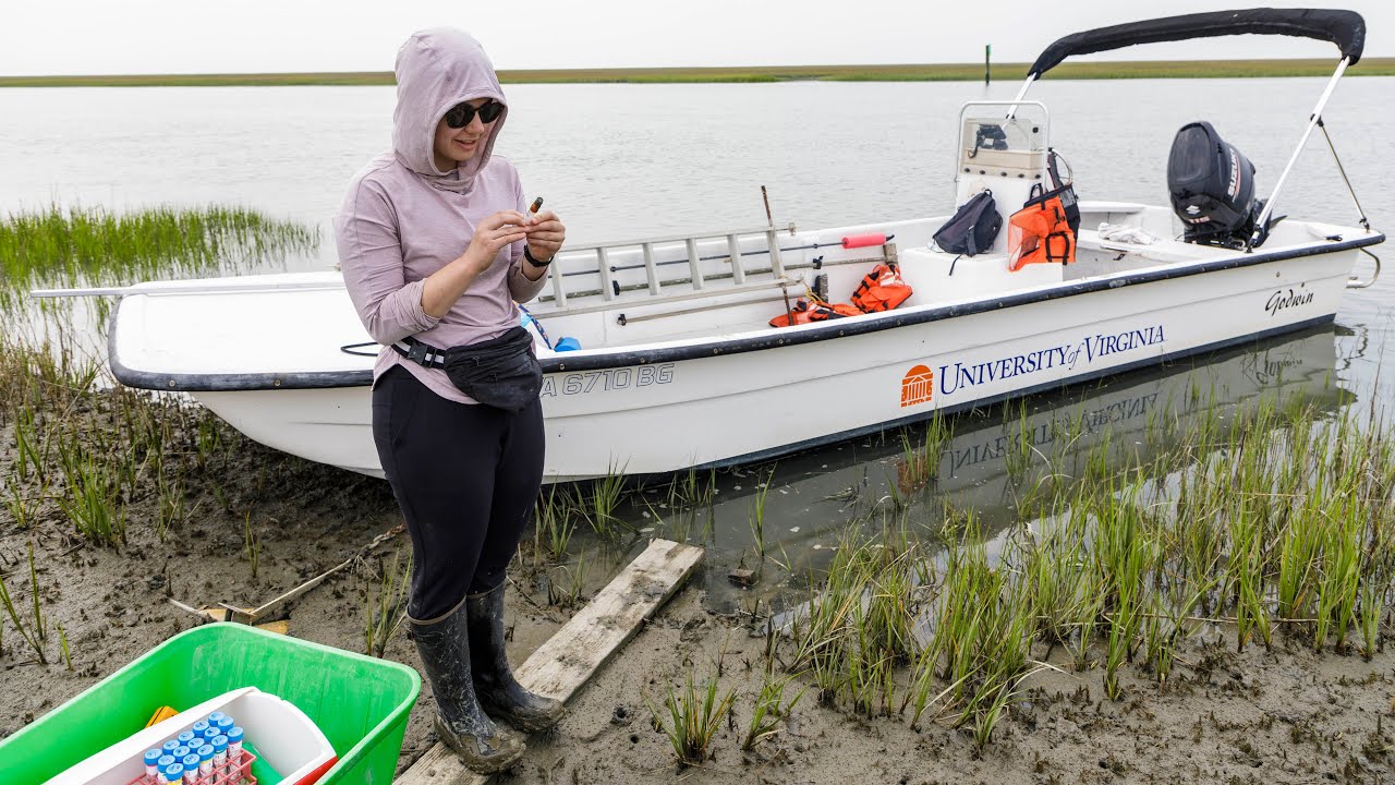 Graduate Fellow Hopes to Quantify Carbon Sink of Salt Marshes