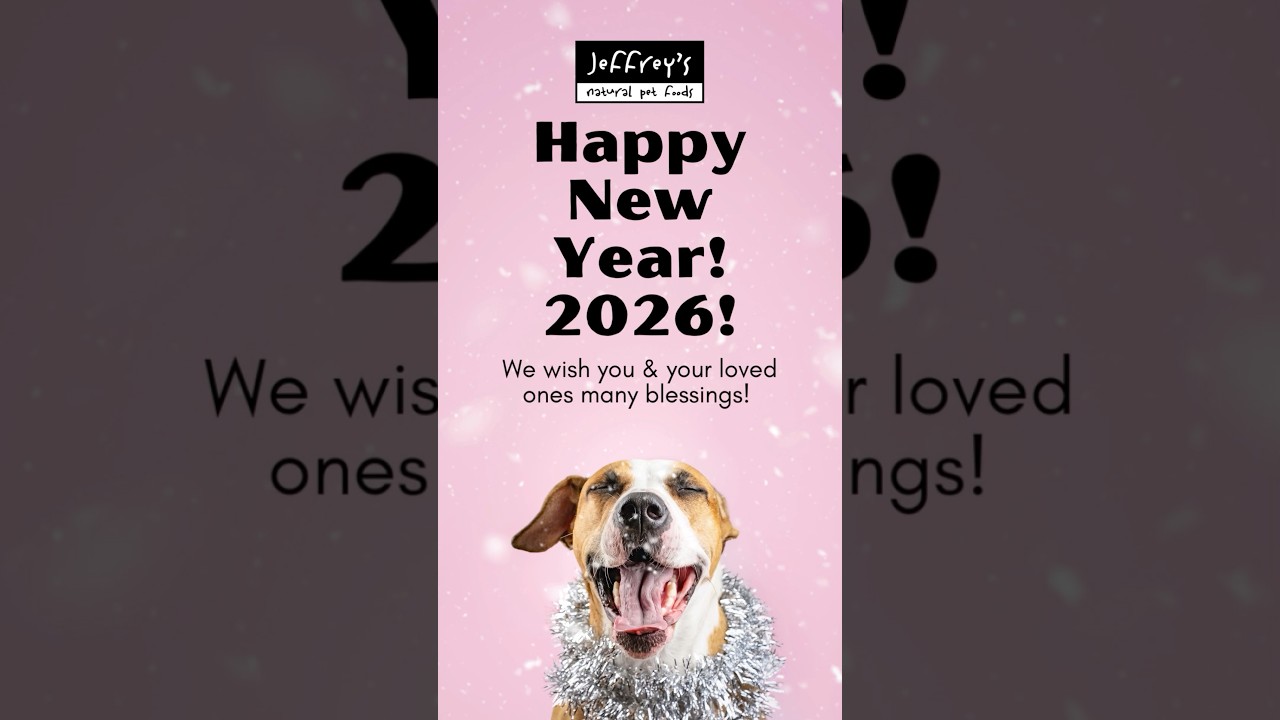 New Year's can be stressful for your pawls. Here are some tips! 