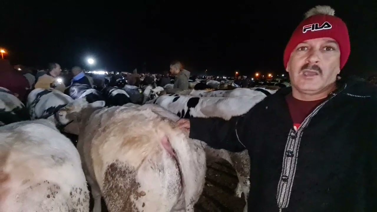 جولة في سوق الثلاثاء سيدي بالنور نواحي مدينة الجديدة ، وفسحة مع الأحباب والأصدقاء ❤